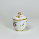 Sèvres soft porcelain sugar pot - Eighteenth century