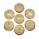 Hispano Moorish - 7 small cuts ceramic luster - eighteenth century