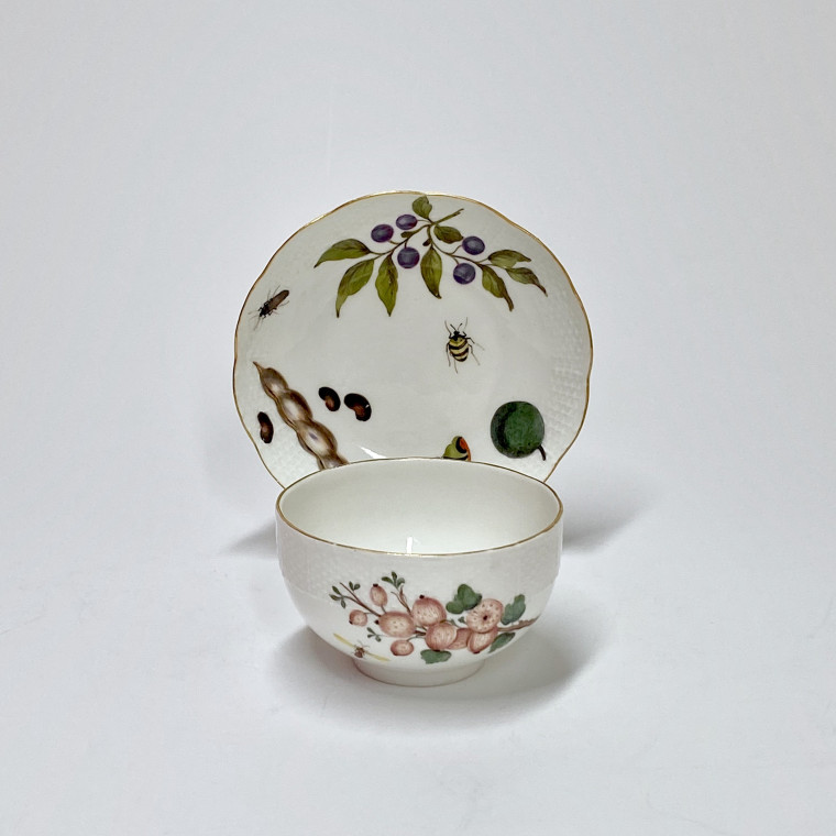 Meissen - Tasse et sa soucoupe à décor de légumes et insectes - XVIIIe siècle - vers 1745-1750