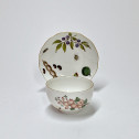 Meissen - Cup and saucer decorated with vegetables and insects - Eighteenth century - circa 1745-1750