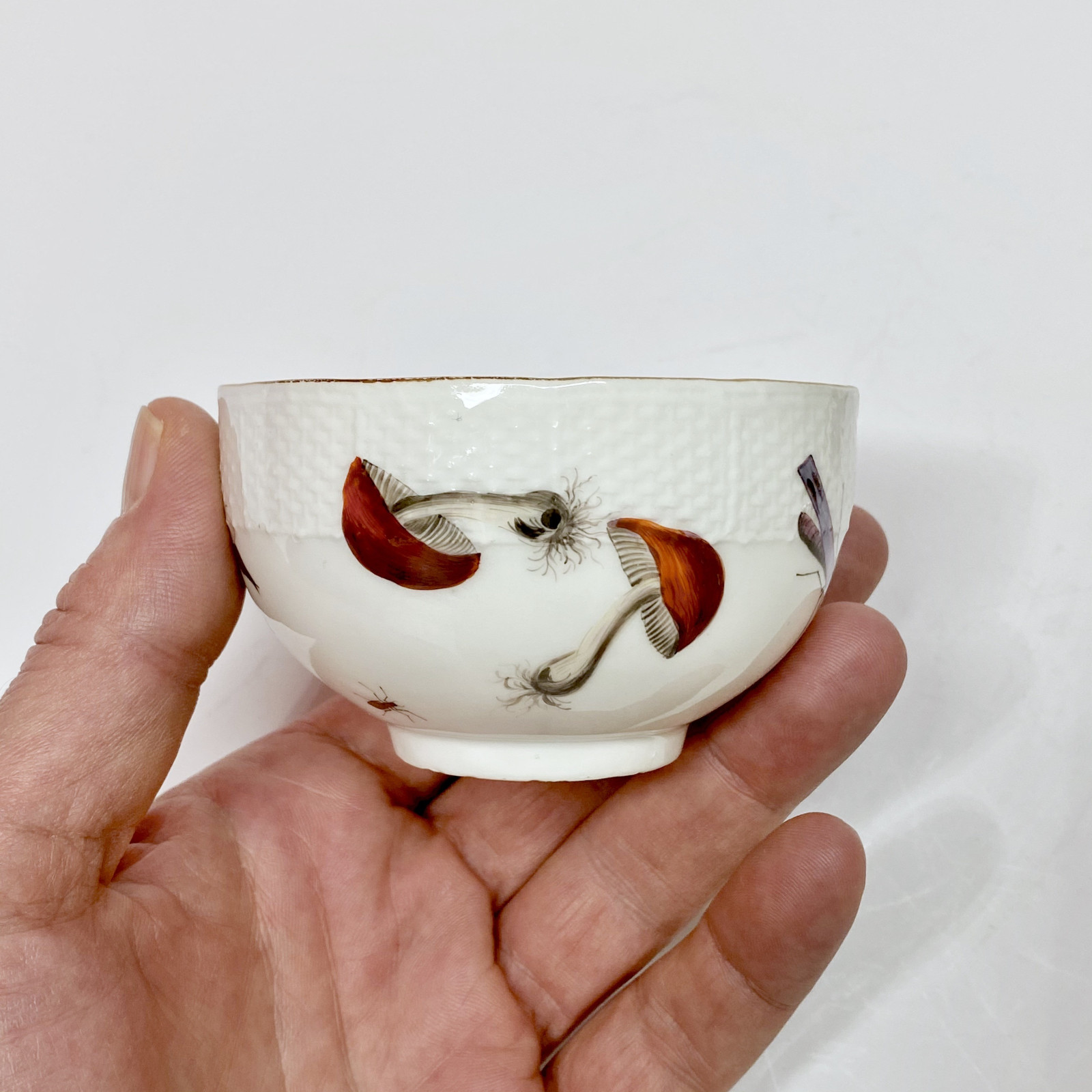 Meissen - Cup and saucer decorated with vegetables and insects - Eighteenth century - circa 1745-1750