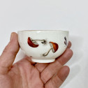Meissen - Cup and saucer decorated with vegetables and insects - Eighteenth century - circa 1745-1750