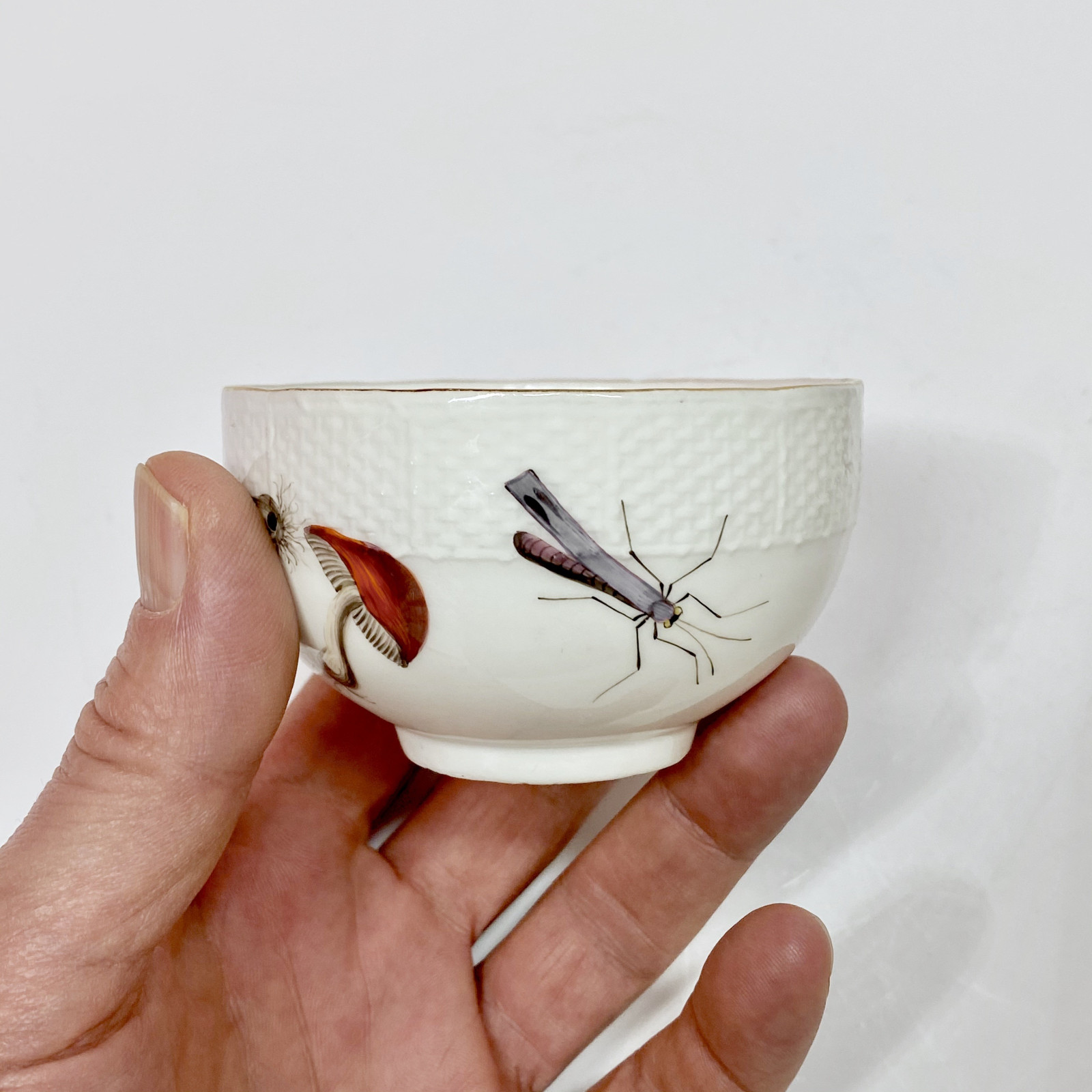 Meissen - Tasse et sa soucoupe à décor de légumes et insectes - XVIIIe siècle - vers 1745-1750