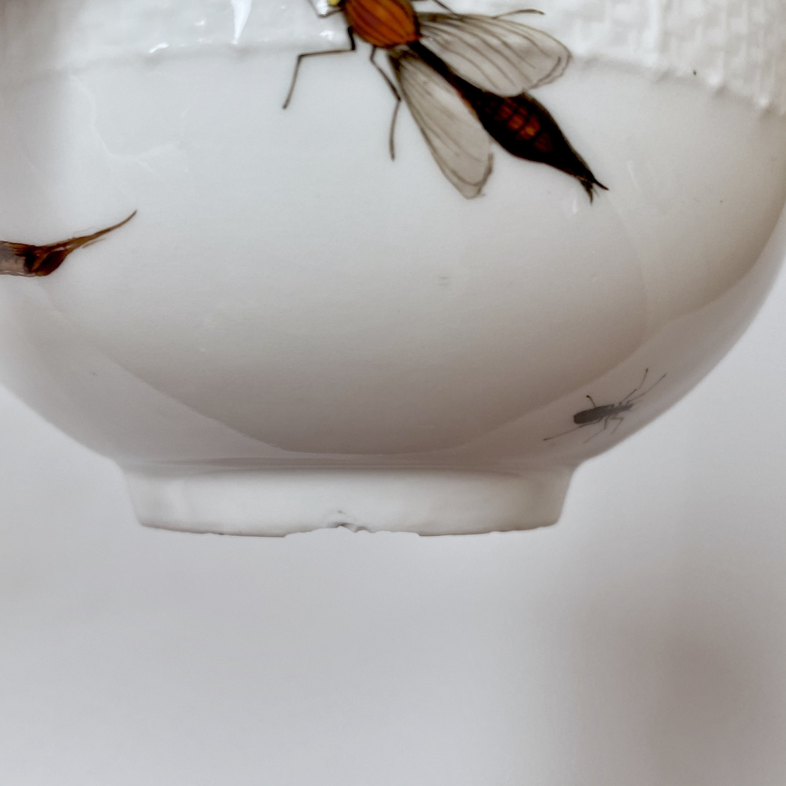Meissen - Cup and saucer decorated with vegetables and insects - Eighteenth century - circa 1745-1750