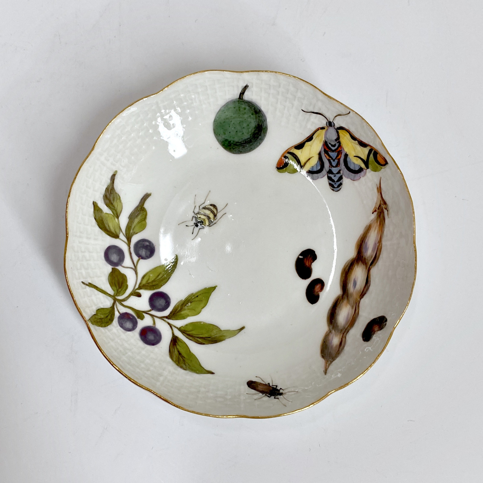 Meissen - Cup and saucer decorated with vegetables and insects - Eighteenth century - circa 1745-1750