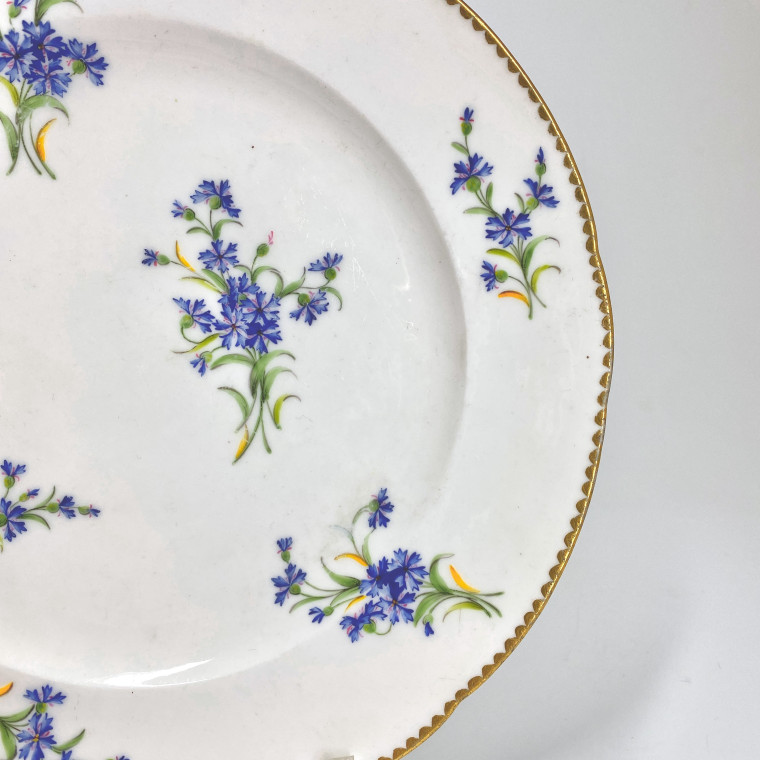 Sèvres - Soft porcelain plate decorated with barbel - Eighteenth century